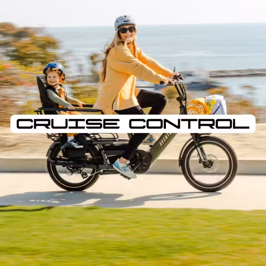 Aventon Abound LR Ebike 2 LR cruise control